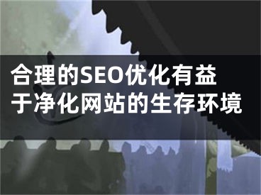 合理的SEO优化有益于净化网站的生存环境