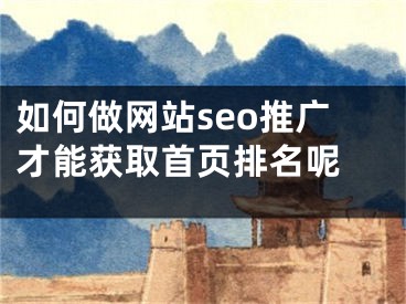 如何做网站seo推广才能获取首页排名呢  