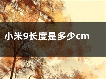 小米9长度是多少cm