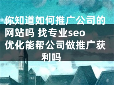 你知道如何推广公司的网站吗 找专业seo优化能帮公司做推广获利吗 