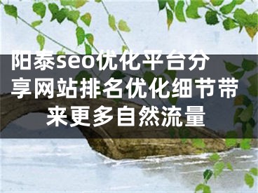 阳泰seo优化平台分享网站排名优化细节带来更多自然流量