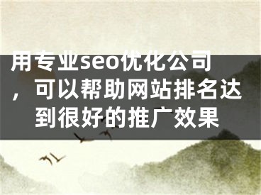 用专业seo优化公司，可以帮助网站排名达到很好的推广效果