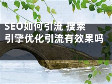 SEO如何引流 搜索引擎优化引流有效果吗 