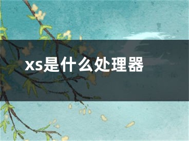 xs是什么处理器