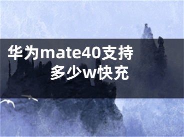 华为mate40支持多少w快充 