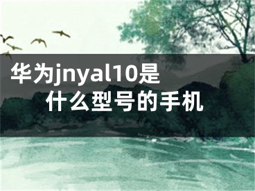 华为jnyal10是什么型号的手机