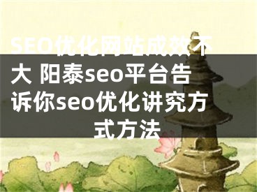 SEO优化网站成效不大 阳泰seo平台告诉你seo优化讲究方式方法