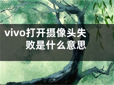 vivo打开摄像头失败是什么意思