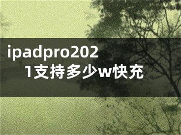 ipadpro2021支持多少w快充