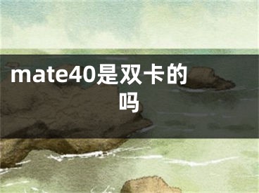 mate40是双卡的吗