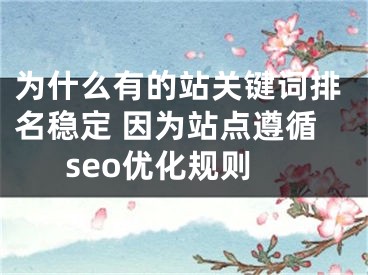 为什么有的站关键词排名稳定 因为站点遵循seo优化规则