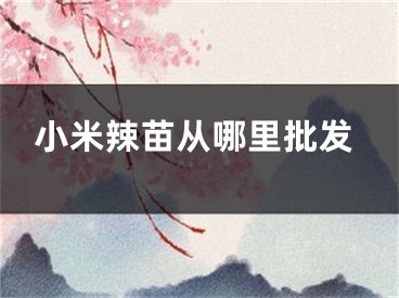 小米辣苗从哪里批发