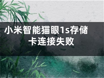 小米智能猫眼1s存储卡连接失败