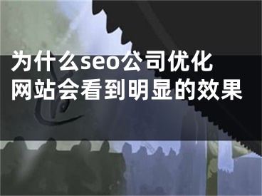 为什么seo公司优化网站会看到明显的效果 