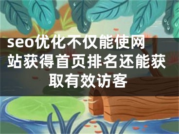 seo优化不仅能使网站获得首页排名还能获取有效访客