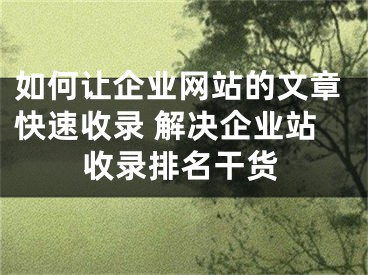 如何让企业网站的文章快速收录 解决企业站收录排名干货