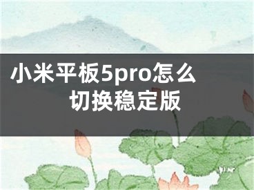 小米平板5pro怎么切换稳定版