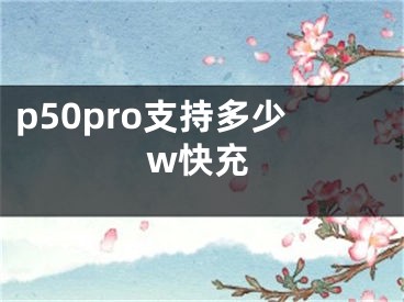 p50pro支持多少w快充