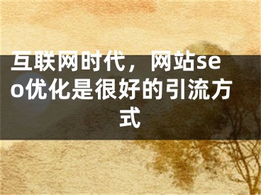 互联网时代，网站seo优化是很好的引流方式