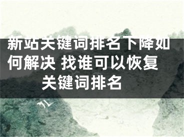 新站关键词排名下降如何解决 找谁可以恢复关键词排名 