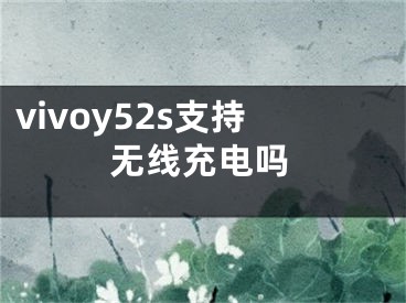 vivoy52s支持无线充电吗