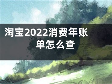 淘宝2022消费年账单怎么查