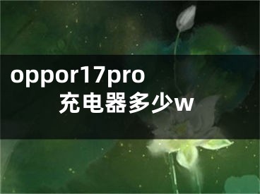 oppor17pro充电器多少w