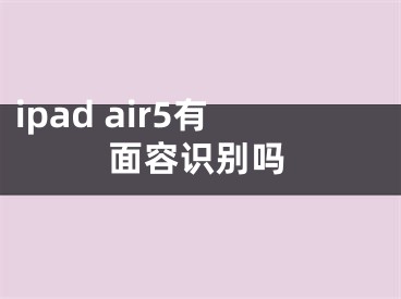 ipad air5有面容识别吗