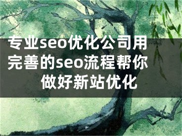 专业seo优化公司用完善的seo流程帮你做好新站优化