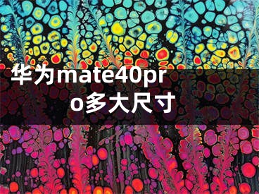 华为mate40pro多大尺寸