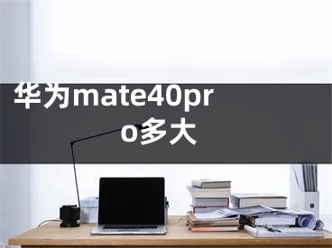 华为mate40pro多大