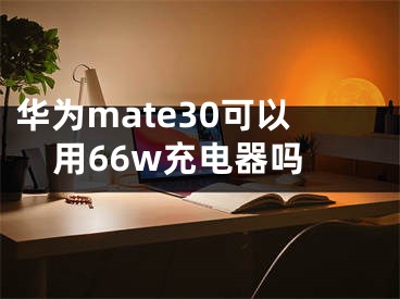 华为mate30可以用66w充电器吗
