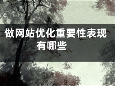 做网站优化重要性表现有哪些 