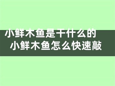 小鲜木鱼是干什么的 小鲜木鱼怎么快速敲 