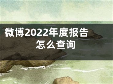 微博2022年度报告怎么查询 