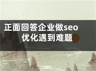 正面回答企业做seo优化遇到难题