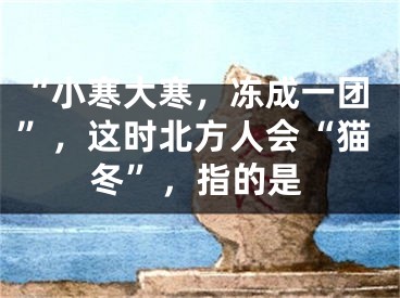 “小寒大寒，冻成一团”，这时北方人会“猫冬”，指的是