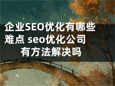 企业SEO优化有哪些难点 seo优化公司有方法解决吗 