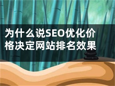 为什么说SEO优化价格决定网站排名效果 