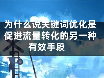 为什么说关键词优化是促进流量转化的另一种有效手段 