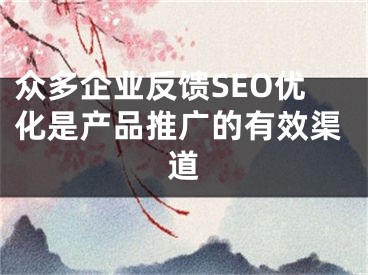 众多企业反馈SEO优化是产品推广的有效渠道