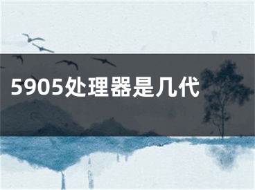 5905处理器是几代