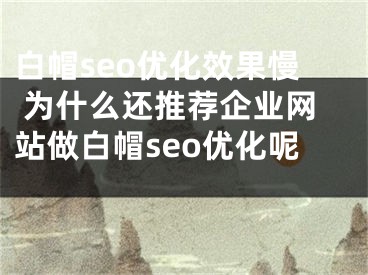 白帽seo优化效果慢 为什么还推荐企业网站做白帽seo优化呢 