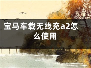 宝马车载无线充a2怎么使用