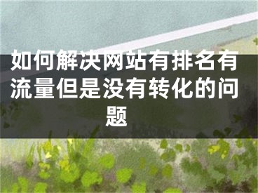 如何解决网站有排名有流量但是没有转化的问题 