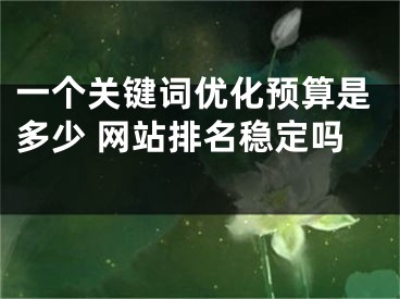 一个关键词优化预算是多少 网站排名稳定吗 