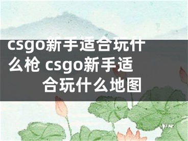 csgo新手适合玩什么枪 csgo新手适合玩什么地图