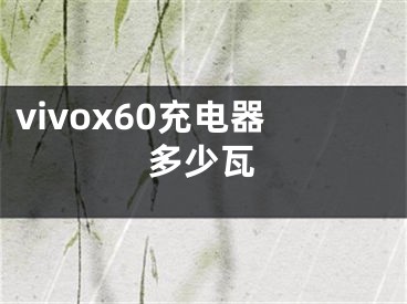 vivox60充电器多少瓦 