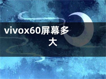 vivox60屏幕多大