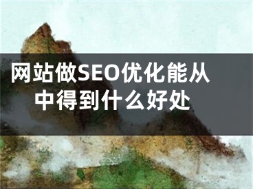 网站做SEO优化能从中得到什么好处 